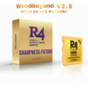 未标题-11 R4i SDHC Woodbeyond v2.5 Memory Card DS Game Flashcard Adapter