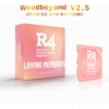未标题-12 R4i SDHC Woodbeyond v2.5 Memory Card DS Game Flashcard Adapter