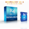 未标题-14 R4i SDHC Woodbeyond v2.5 Memory Card DS Game Flashcard Adapter